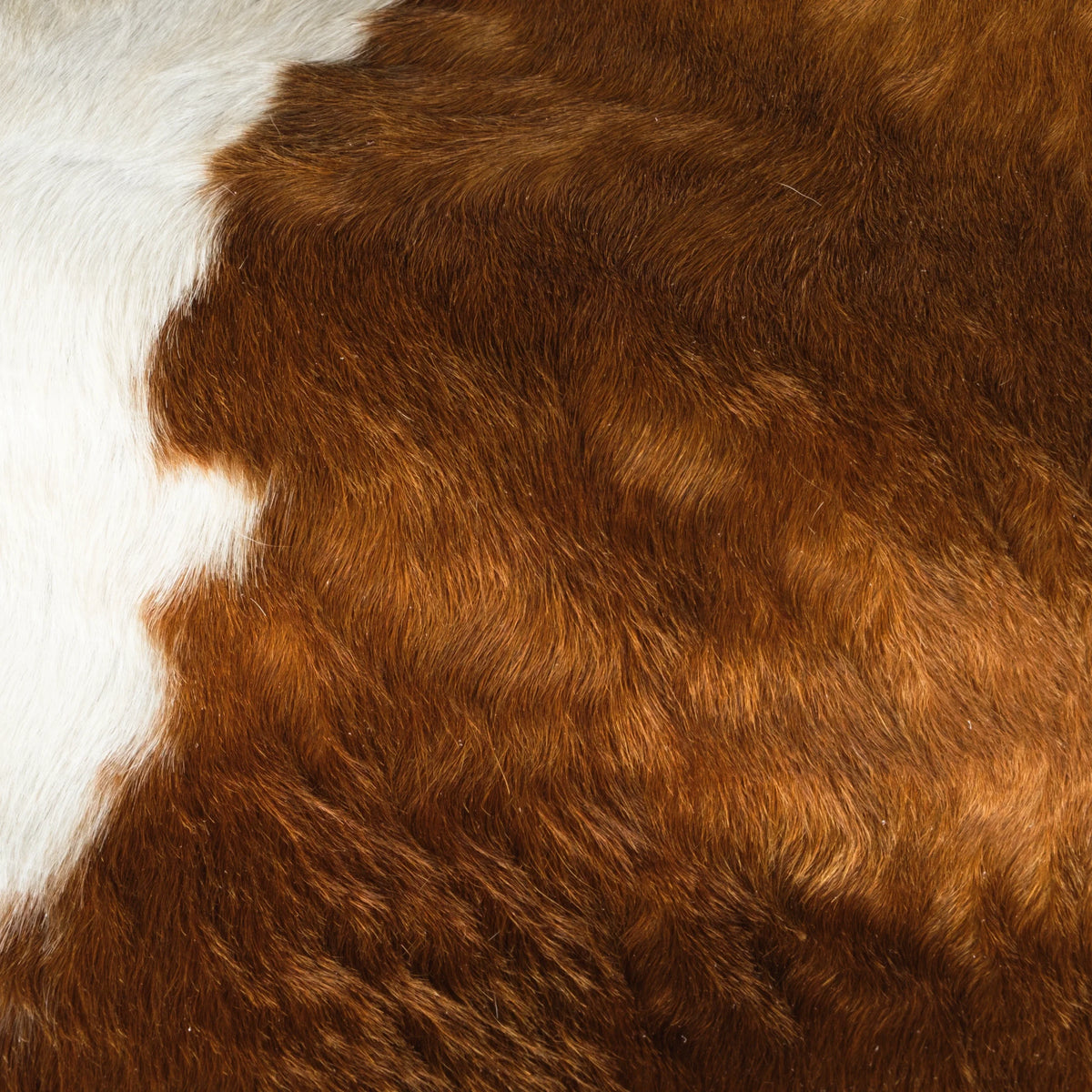 Cowhide Rug Brown & White, Patches